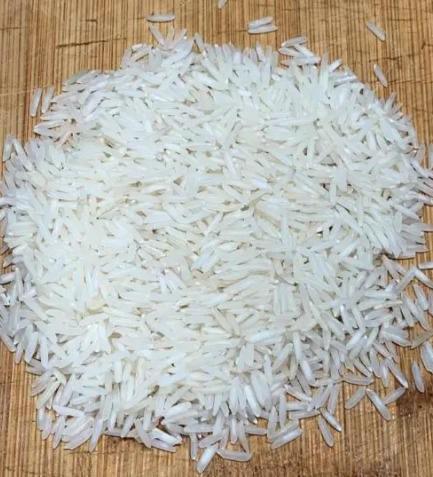 Brazilian Rice – Superior Quality for Global Export