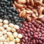Black, white, and red beans – export grade