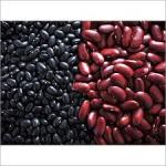 Black, white, and red beans – export grade