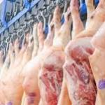 Brazilian Pork Meat – Premium Quality for International Markets